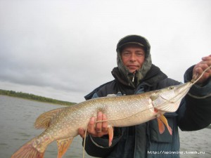 IMG_8674.jpg