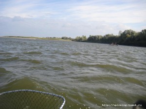 IMG_8703.jpg