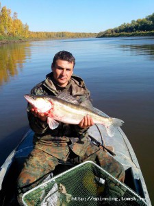 IMG_20130925_120024.jpg