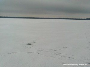 IMG_20131026_105701.jpg