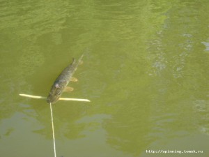 IMG_2725.JPG