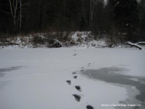 IMG_8926.JPG