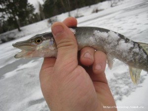 IMG_8928.JPG