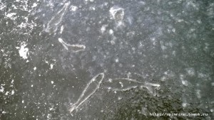 WP_20131109_010.jpg
