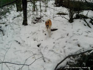 IMG_20131117_104412.jpg