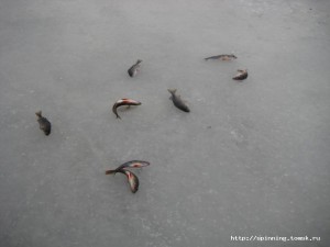 IMG_8999.JPG