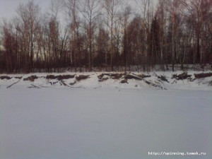 А есть ли тут хищник.jpg