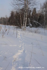 DSC_0497.JPG
