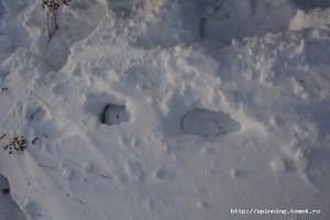 DSC_0499.JPG