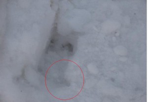 сл кб.jpg