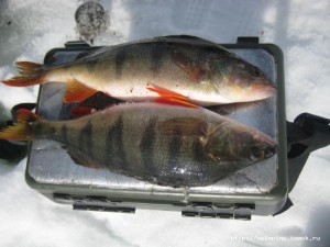 IMG_0967.JPG