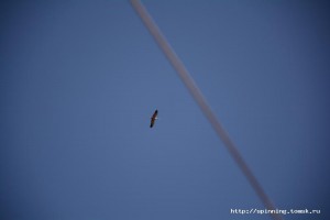 DSC_1506.JPG