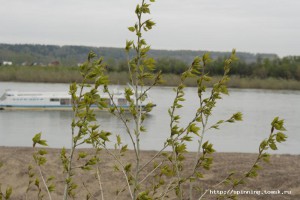 IMG_5306.JPG