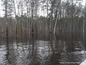 100_3075.JPG