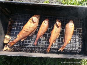20140529_154132.jpg
