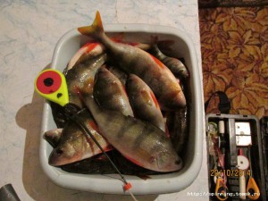 IMG_0543.JPG