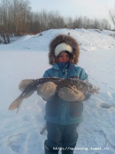 IMG_20141116_094818.jpg