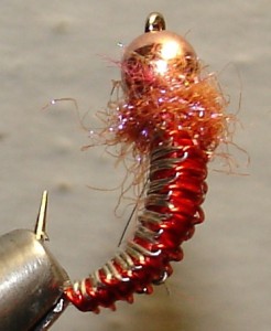 DSC05787.JPG