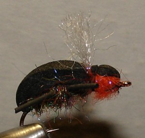 DSC05796.JPG