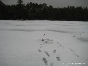 IMG_1349.JPG