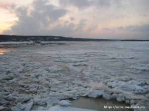 IMG_1356.JPG
