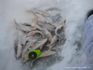 IMG_1375.JPG