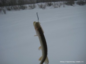 IMG_1385.JPG