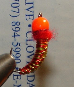 DSC05812.JPG