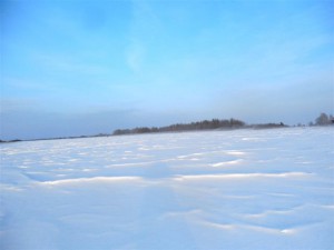 07 12 14  023.jpg