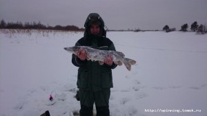 DSC_0004.JPG