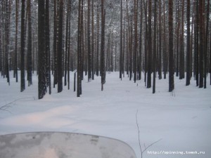 IMG_1422.JPG