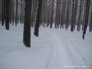IMG_1423.JPG
