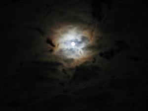 DSCF1279-300x225.jpg
