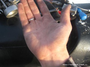 IMG_1480.JPG