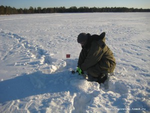 IMG_1487.JPG