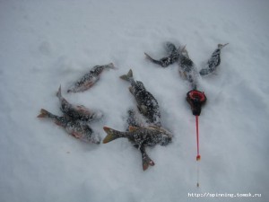 IMG_1550.JPG