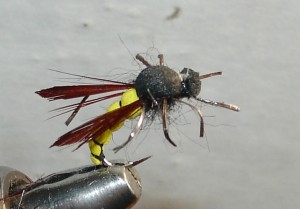 DSC05942.JPG