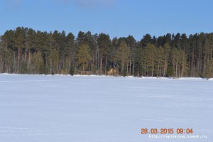DSC_1009.JPG