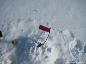 IMG_1575.JPG