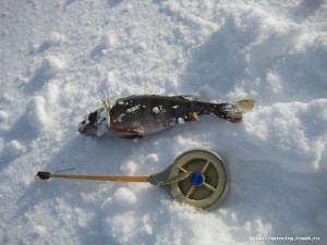 IMG_1576.JPG