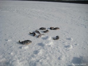 IMG_1646.JPG
