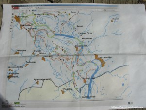 IMG_9498.JPG