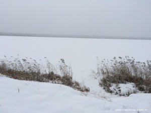 IMG_0051[1].JPG