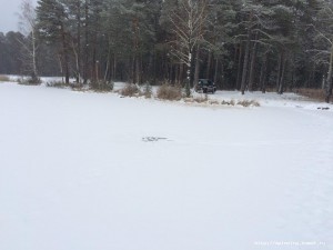 IMG_0054[1].JPG