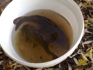 26092010424_1.jpg