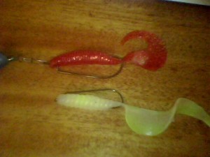 IMG0130A.jpg