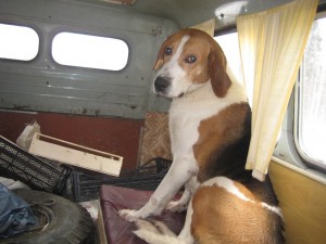 IMG_8989.JPG