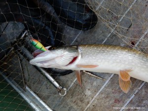 DSCN0670.JPG