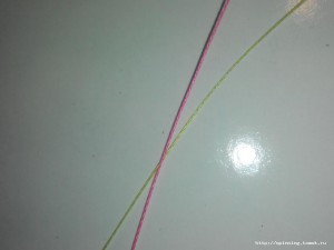 IMG_20161014_205640.jpg