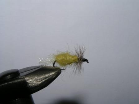 PICT0238.JPG